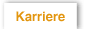 Karriere